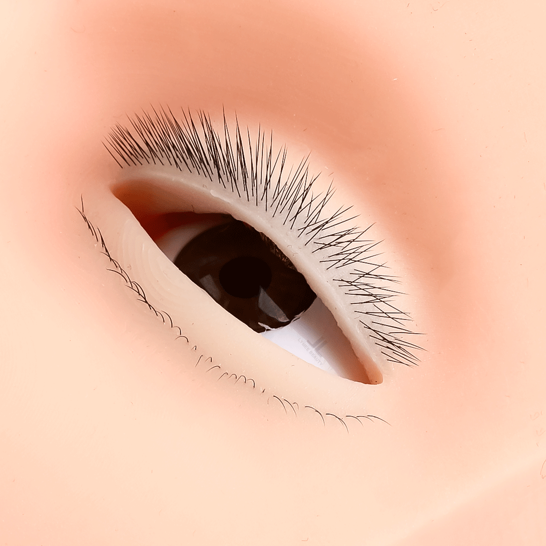 Hot 4-Layer Mini Mannequin for - Eyelash Extension Open Eye ulasan dan harga